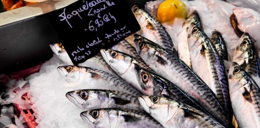 Comment acheter une caisse enregistreuse pour une poissonnerie ?