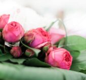 Comment une caisse pour commerce saisonnier s’ajuste aux pics de la Saint-Valentin et de la Fête des Mères ?