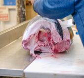 Quel logiciel de caisse pour une boucherie ?